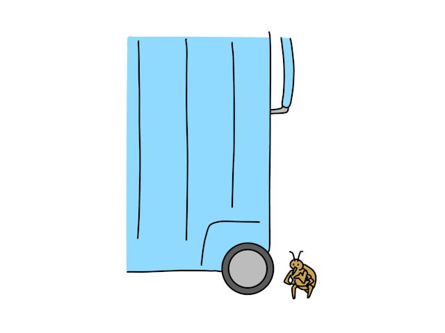 旅行荷物とトコジラミ