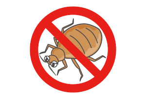 トコジラミ排除します